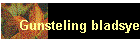 Gunsteling bladsye