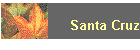 Santa Cruz